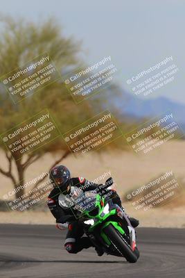 media/Nov-05-2022-SoCal Trackdays (Sat) [[f8d9b725ab]]/Turn 4 Tree of Life (125pm)/